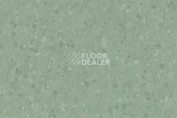 Линолеум Forbo Sphera Element 50050 olive фото 1 | FLOORDEALER